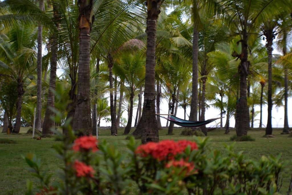 Hotel La Isla Parrita Buitenkant foto